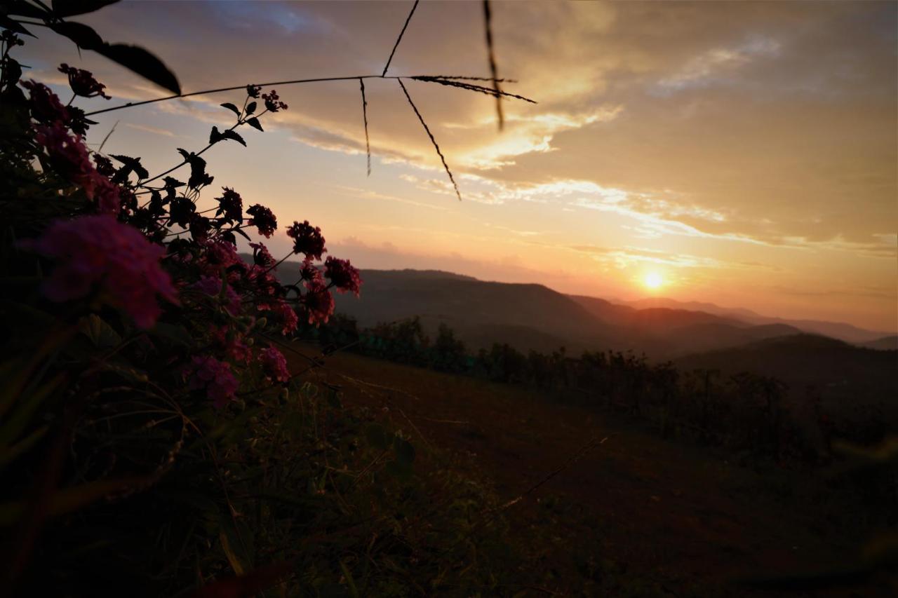 Peakaavu Cottages Idukki Exteriér fotografie